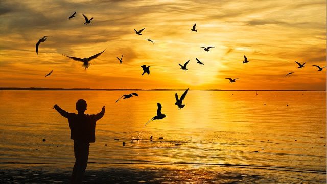 الفرح – Joy