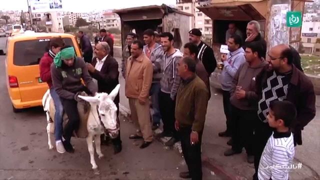 #بالشكلوب 2014 – ترخيص الحمير في فلسطين