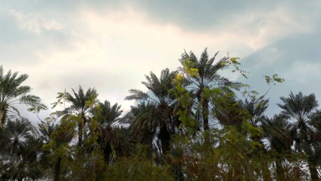 الحلقة 13- سنة الوقف – Waqf/Endowments
