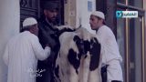 الحلقة الاخيرة من طول بالك 5 مع الفنان مؤمن شويخ والفنان ثائر أبو زبيدة