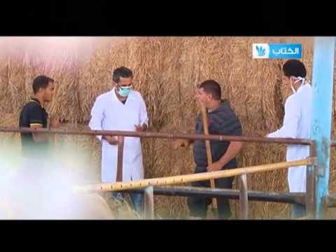 حلقة جديدة طووول بالك ثاني ايام العيد